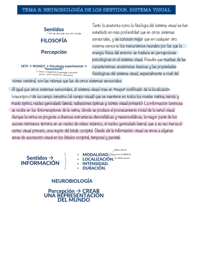 Miniatura del documento Tema-8-neurobiologia.pdf