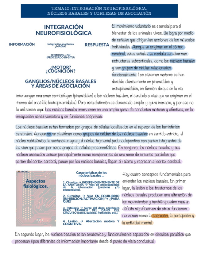 Miniatura del documento Tema-10-neurobiologia.pdf