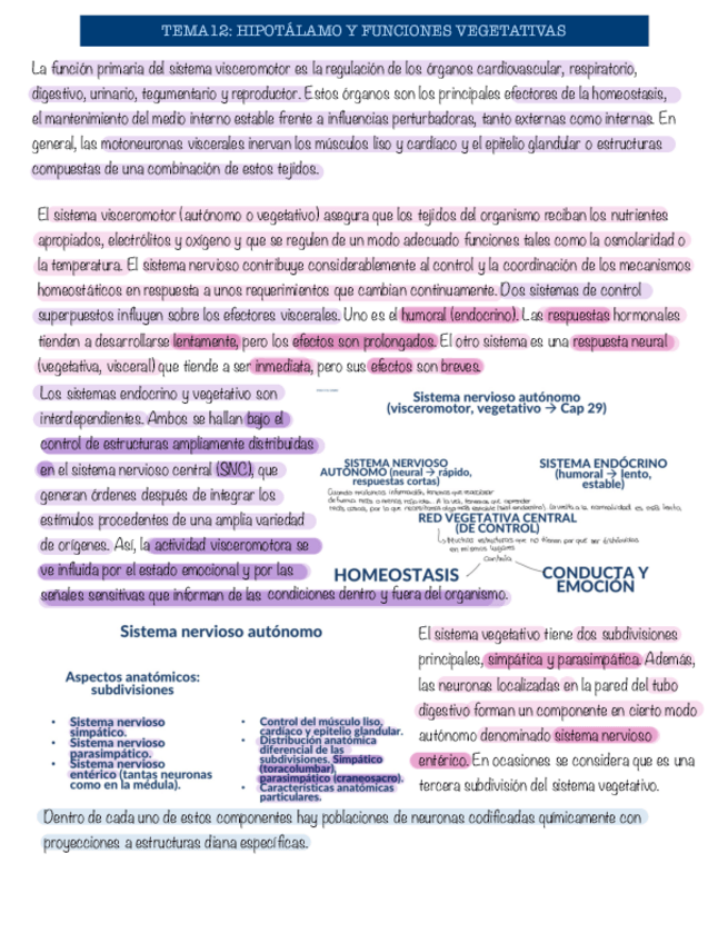 Miniatura del documento Tema-12-neurobiologia.pdf