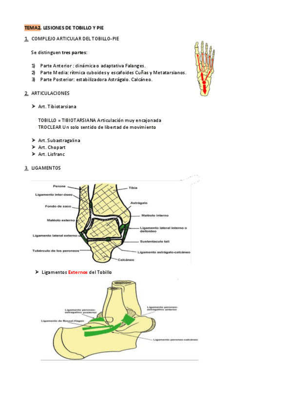 Miniatura del documento Tema2.-Lesiones-del-Tobillo.pdf