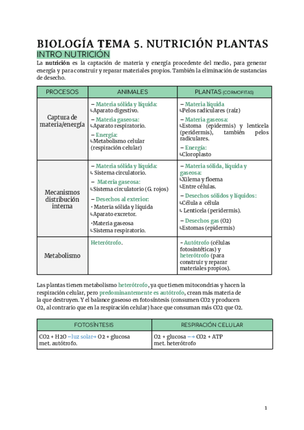Miniatura del documento BIOLOGIA.-NUTRICION-PLANTAS.pdf