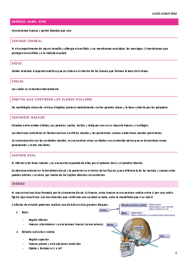 Miniatura del documento ANATOMIA-CRANEO-CARA-ATM.pdf