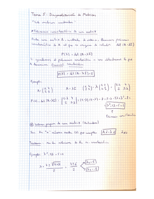 Miniatura del documento Apuntes-Tema-5.pdf