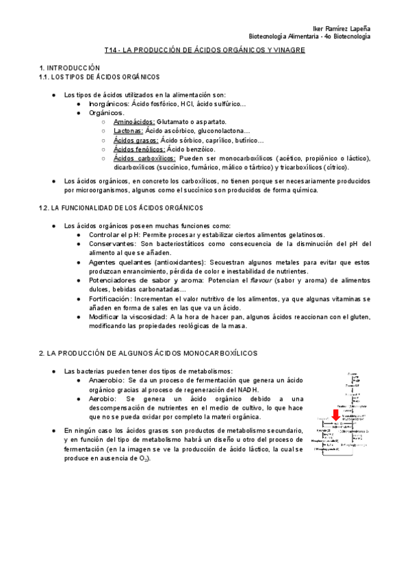 Miniatura del documento T14-BTAL-La-Produccion-de-Acidos-Organicos-y-Vinagre.pdf