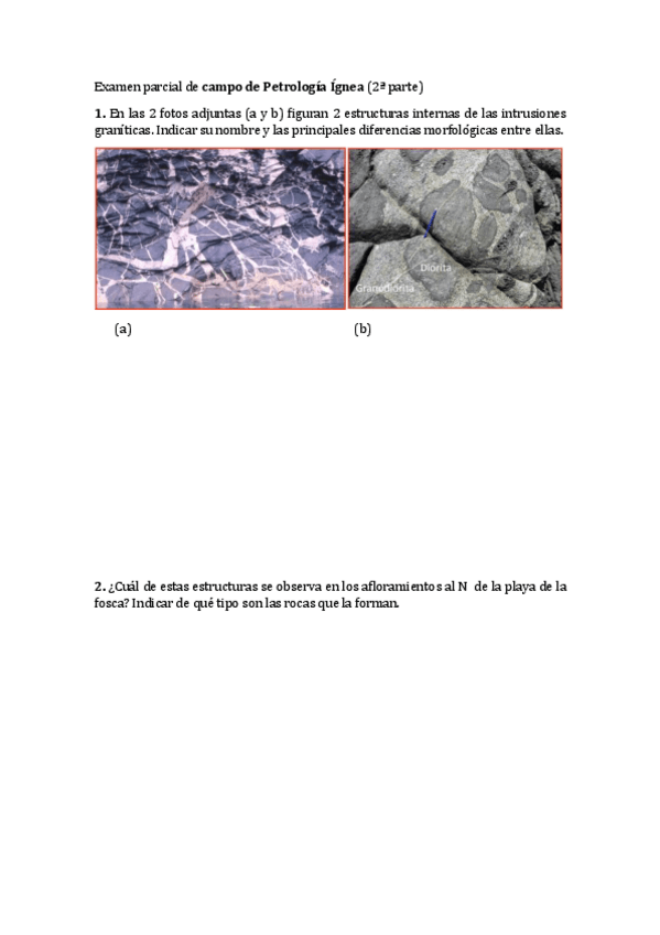 Miniatura del documento 2o_Parcial_Campo_Petrologia_Ignea_17_01_2023.pdf