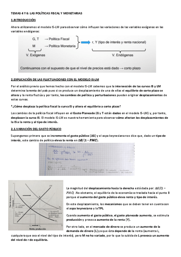 Miniatura del documento TEMAS-4-Y-6.pdf
