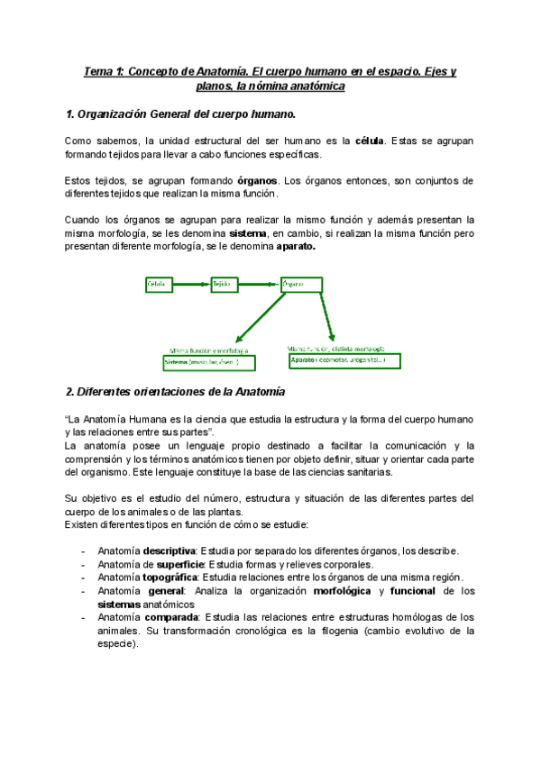 Miniatura del documento Anatomia-Tema-1.pdf