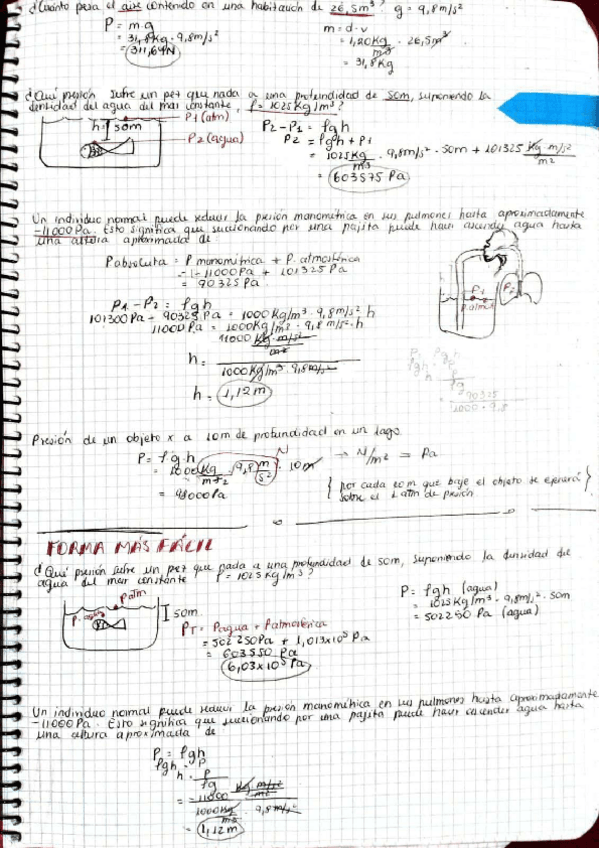 Miniatura del documento Problemas-fisica-completos.pdf