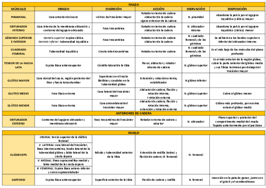 Miniatura del documento MUSCULOS-MIEMBRO-INFERIOR.pdf