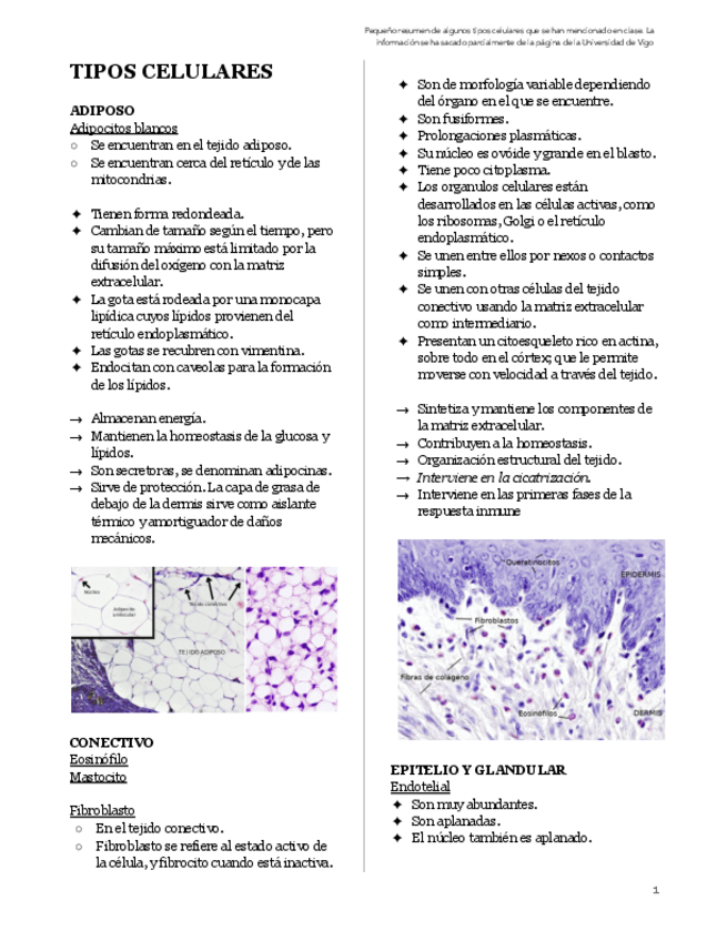 Miniatura del documento BIOCEL-Tipos-celulares.pdf
