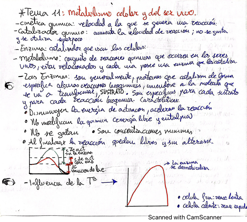 Miniatura del documento Tema-11-Biologia.pdf