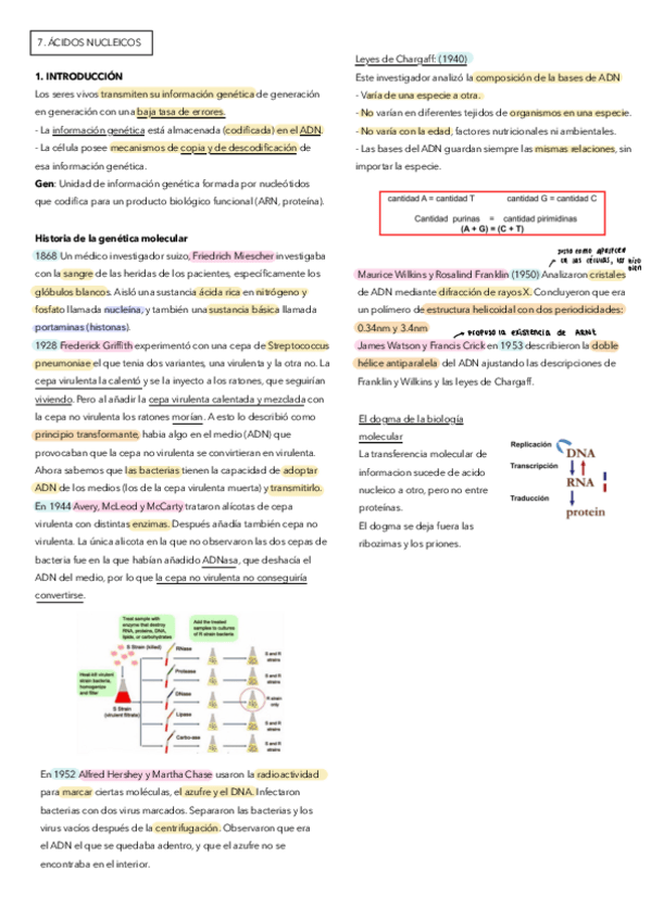Miniatura del documento 7-Acidos-nucleicos.pdf