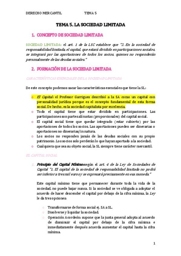 Miniatura del documento TEMA-5.-LA-SOCIEDAD-LIMITADA.pdf