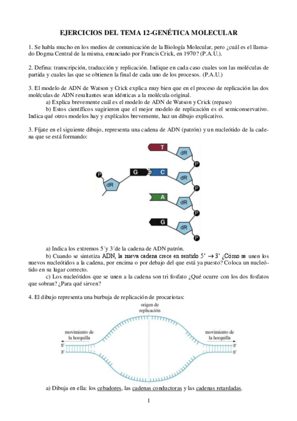 Miniatura del documento Genetica-molecular.pdf