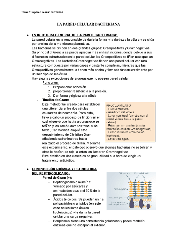 Miniatura del documento tema-6.pdf