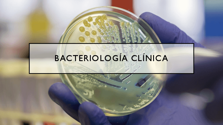 Miniatura del documento MICRO-ESQUEMATIZADO.pdf