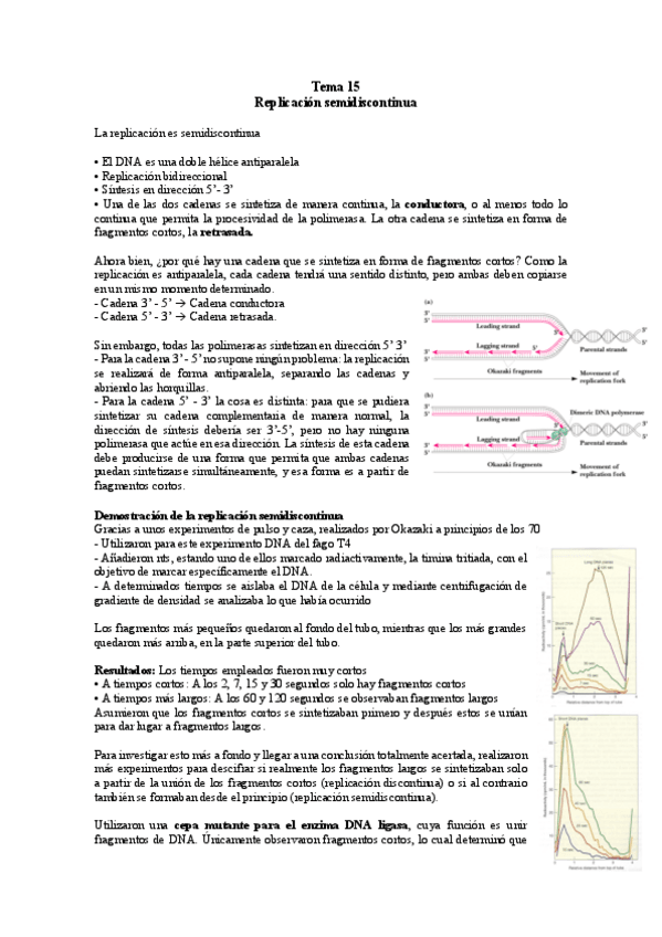 Miniatura del documento TEMA-15-BM.pdf