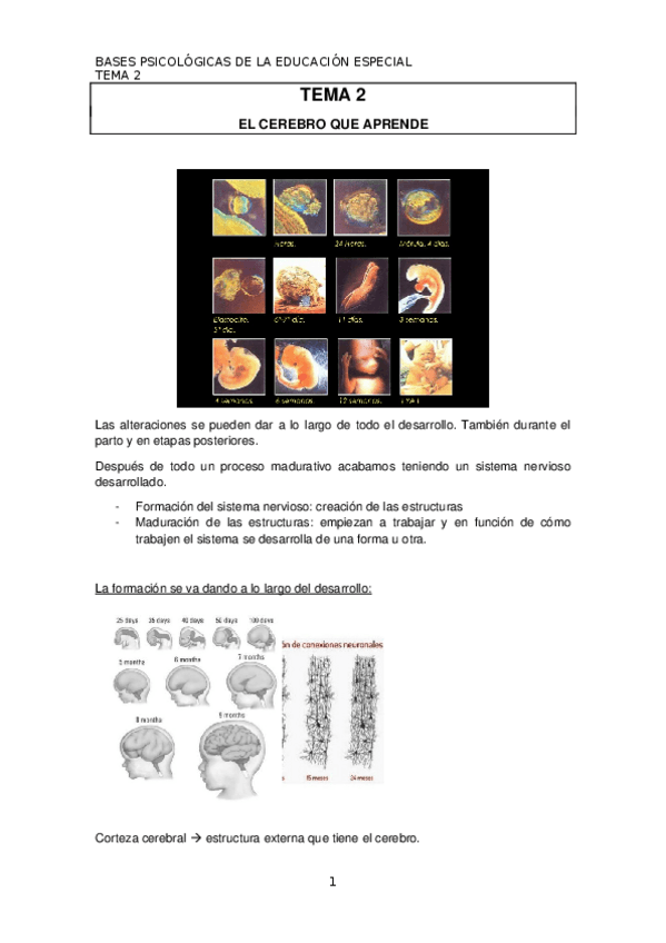 Miniatura del documento TEMA 2 bases psico.docx