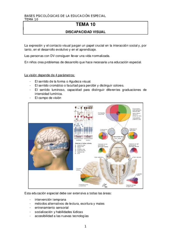 Miniatura del documento TEMA 10 bases psico.docx