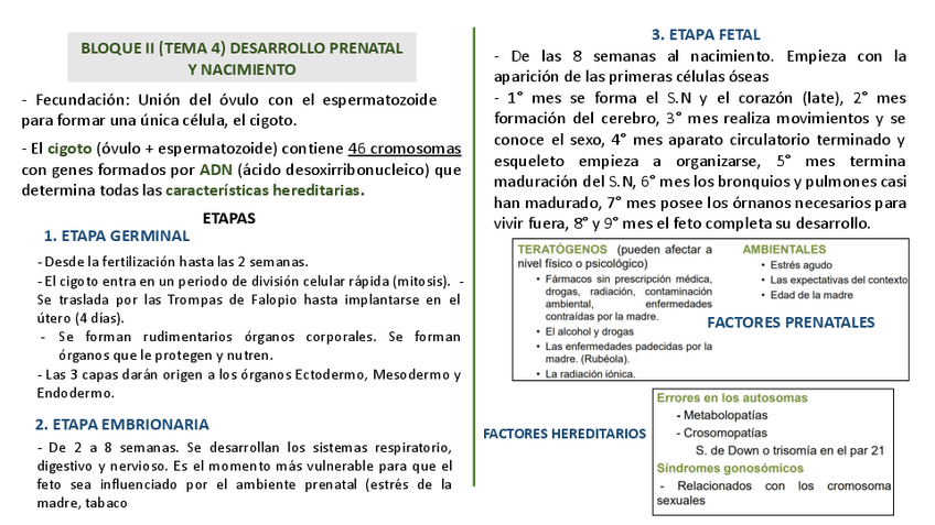 Miniatura del documento apuntes-psico-personalidad.pptx.pdf