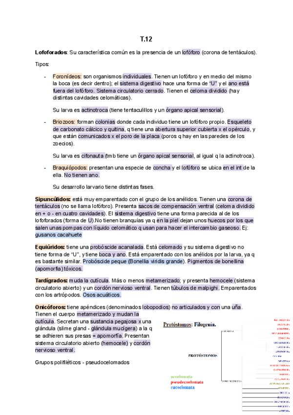 Miniatura del documento Zoologia-Final-12-21.pdf