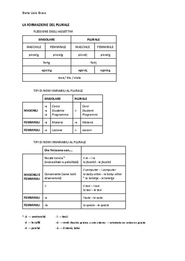 Miniatura del documento LA-FORMAZIONE-DEL-PLURALE.pdf