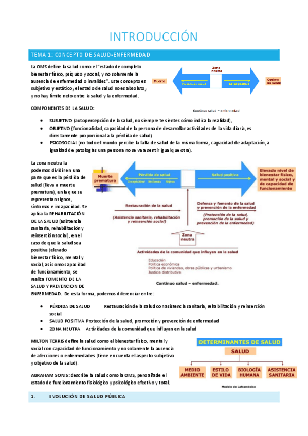 Miniatura del documento T1-SP.pdf