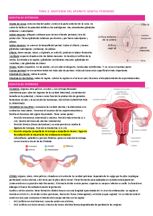 Miniatura del documento tema-2.pdf