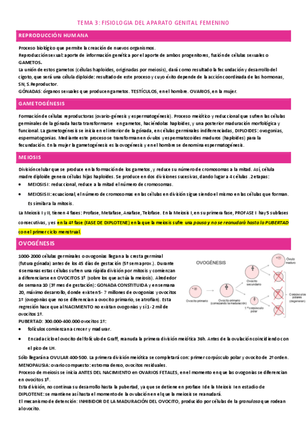 Miniatura del documento tema-3.pdf