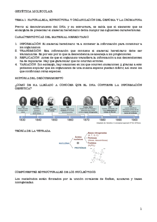 Miniatura del documento APUNTES-GENETICA.pdf