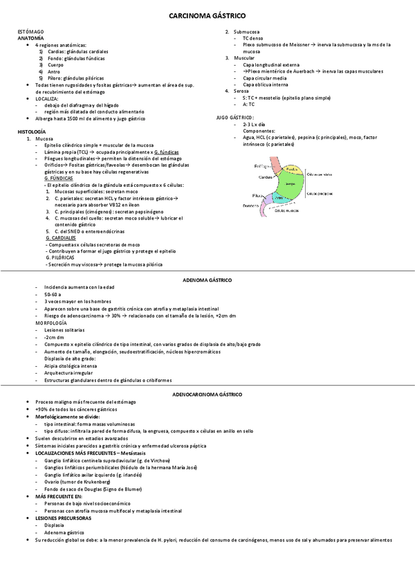 Miniatura del documento CARCINOMA GASTRICO.pdf