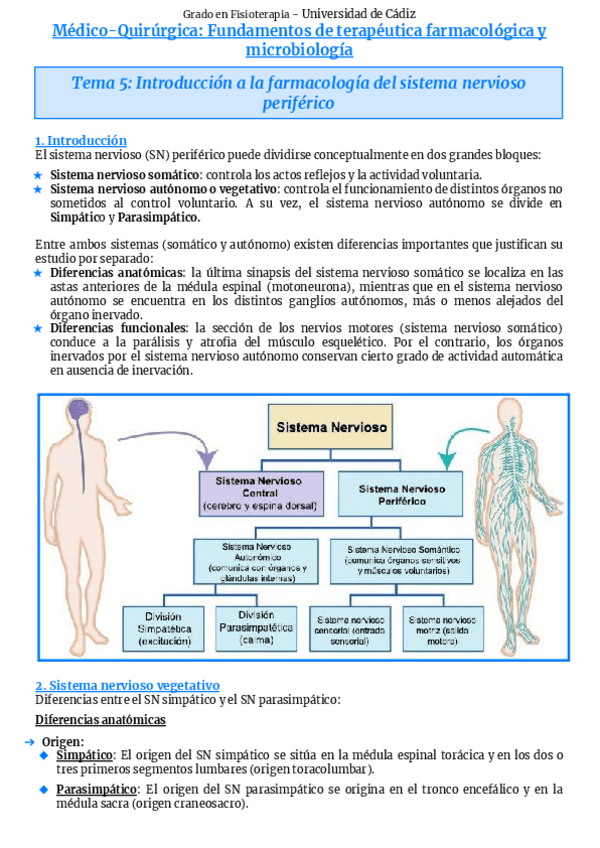 Miniatura del documento Tema-5-Farmacologia-del-SNP.pdf