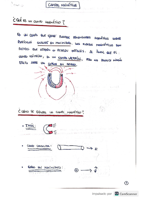 Miniatura del documento Campo-Magnetico.-Fisica-2.pdf