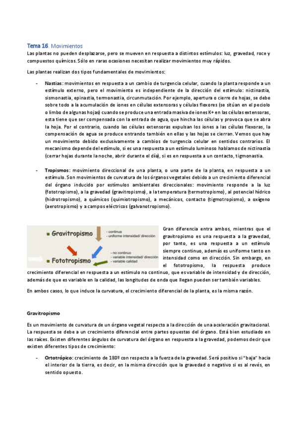 Miniatura del documento Tema-16.-Movimientos.pdf