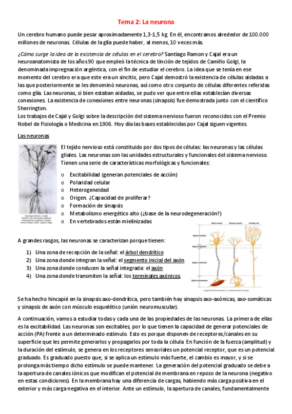 Miniatura del documento T2-NBM-La-neurona.pdf