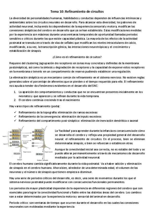 Miniatura del documento T10-NBM-Refinamiento-de-circuitos.pdf