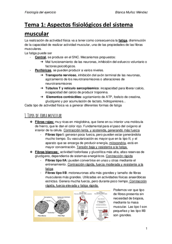 Miniatura del documento Tema-1.pdf
