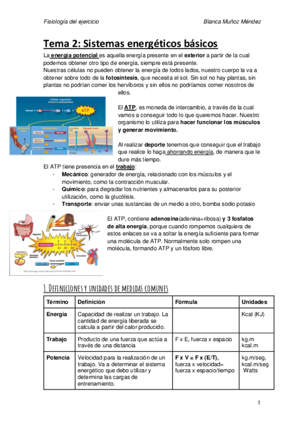 Miniatura del documento Tema-2.pdf