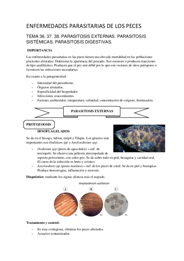 Miniatura del documento Temario-EP-Peces.pdf