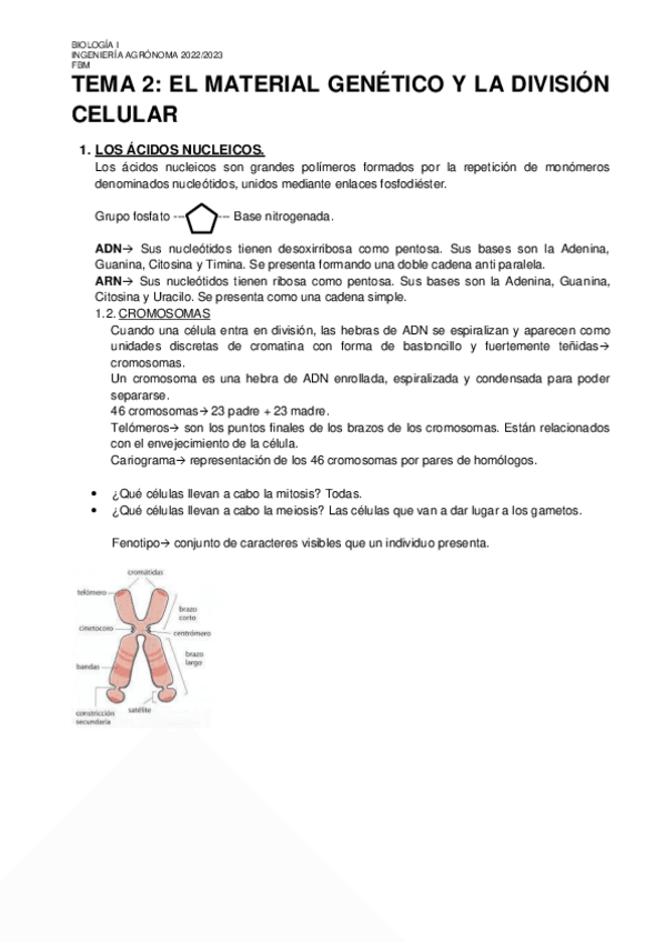 Miniatura del documento TEMA-2.pdf