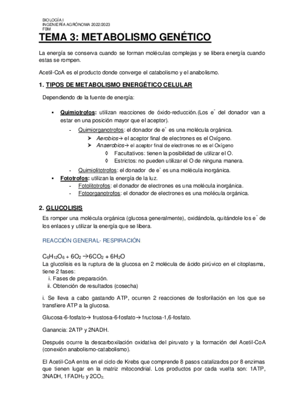 Miniatura del documento TEMA-3-1.pdf
