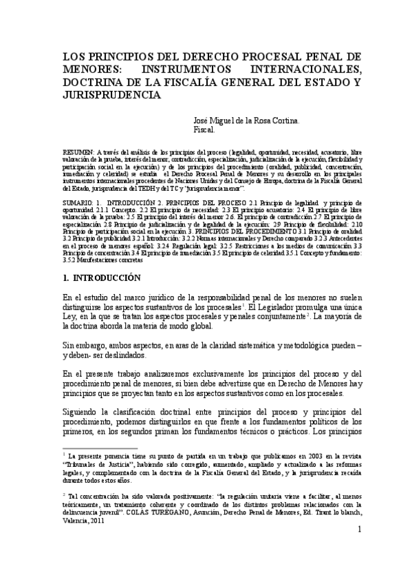 Miniatura del documento PRINCIPIOS-Do-PROCESAL-PENAL-DE-MENORES.pdf