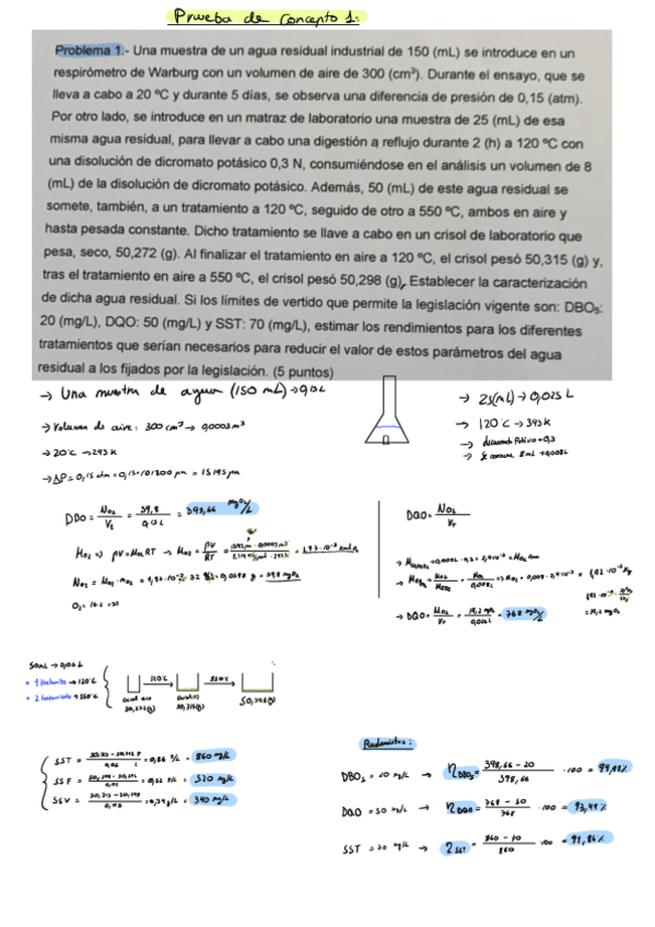 Miniatura del documento Pruebas-de-concepto.pdf