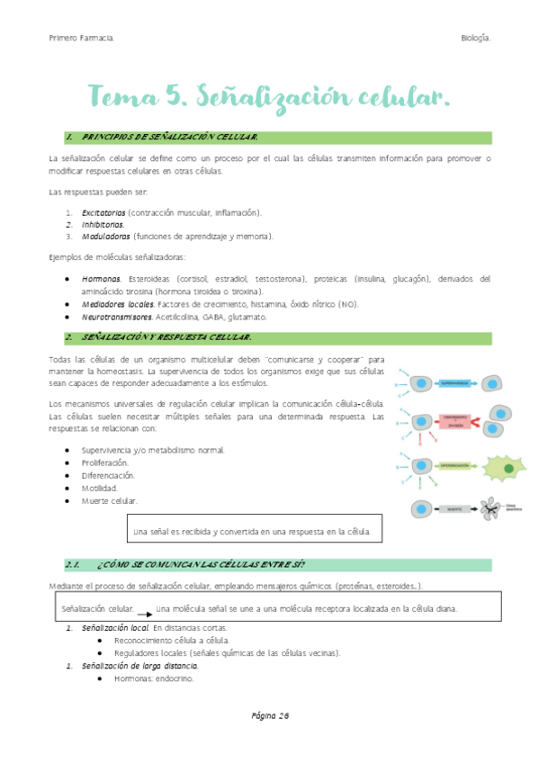 Miniatura del documento Tema-5.-Senalizacion-celular..pdf