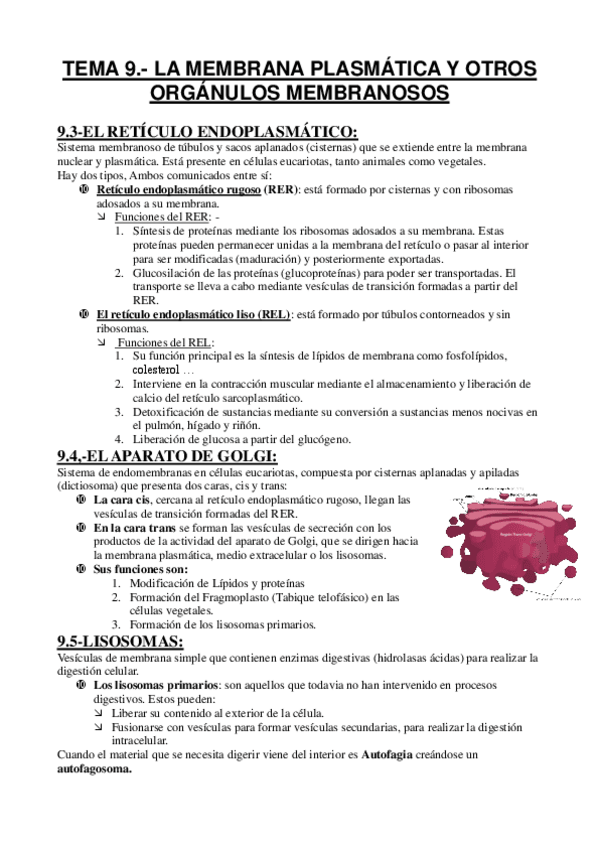 Miniatura del documento TEMA-91011.pdf