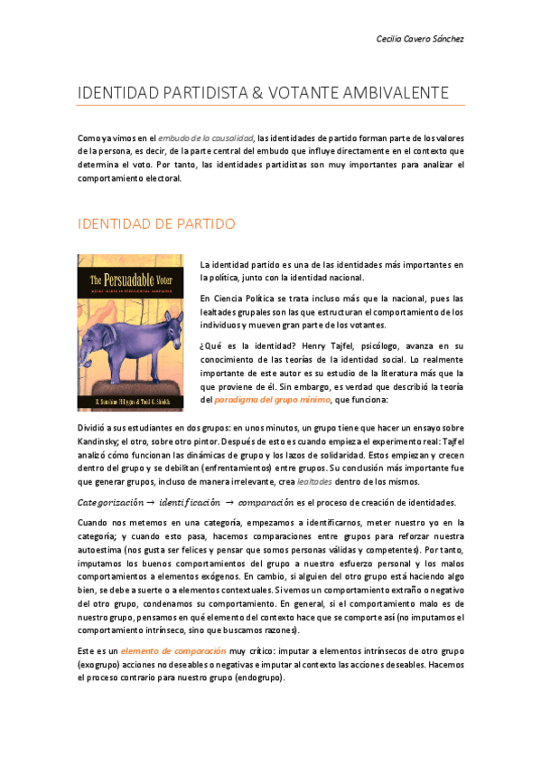 Miniatura del documento 7. Identidad de partidos.pdf