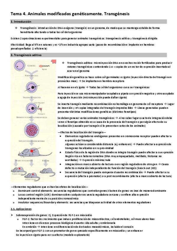Miniatura del documento Tema-4.-Animales-modificados-geneticamente.-Transgenesis.pdf
