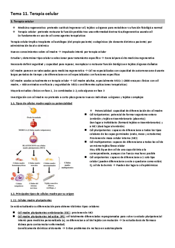 Miniatura del documento Tema-11.-Terapia-celular.pdf
