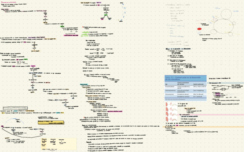 Miniatura del documento Extremidades-y-sistema-muscular.pdf