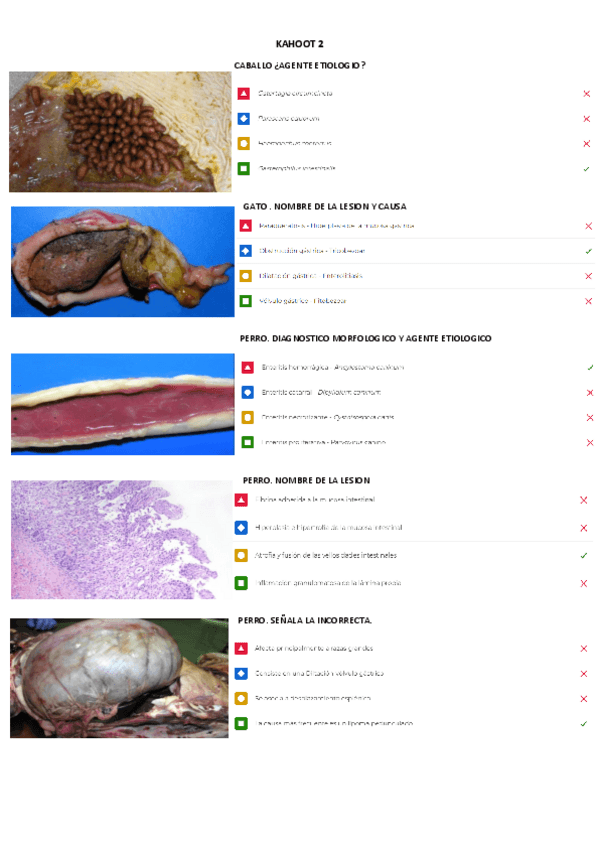 Miniatura del documento KAHOOT-2.pdf